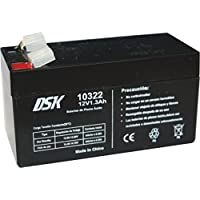 Los mejores  - DSK 10322 - Batería Plomo Acido 12V 1-3 Ah- Negro. Ideal para alarmas de hogar- Juguetes electricos- cercados- balanzas.